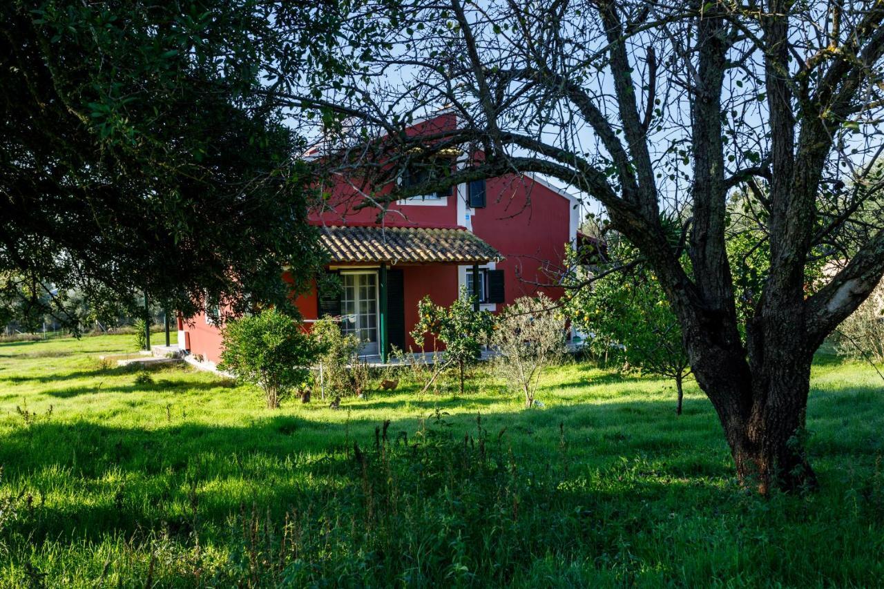 Fridas Place Halikounas Zewnętrze zdjęcie